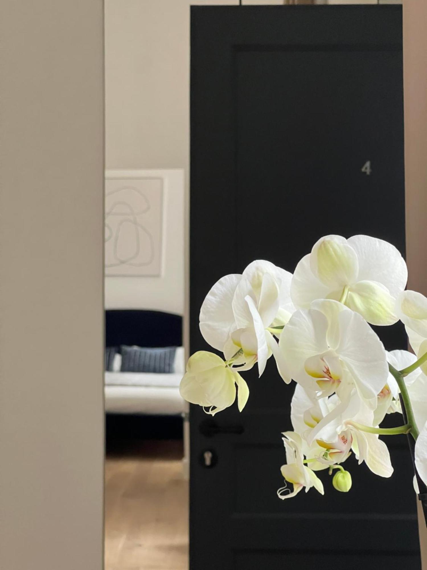 Apartamento Situation Exceptionnelle Harmony III Carcasona Exterior foto